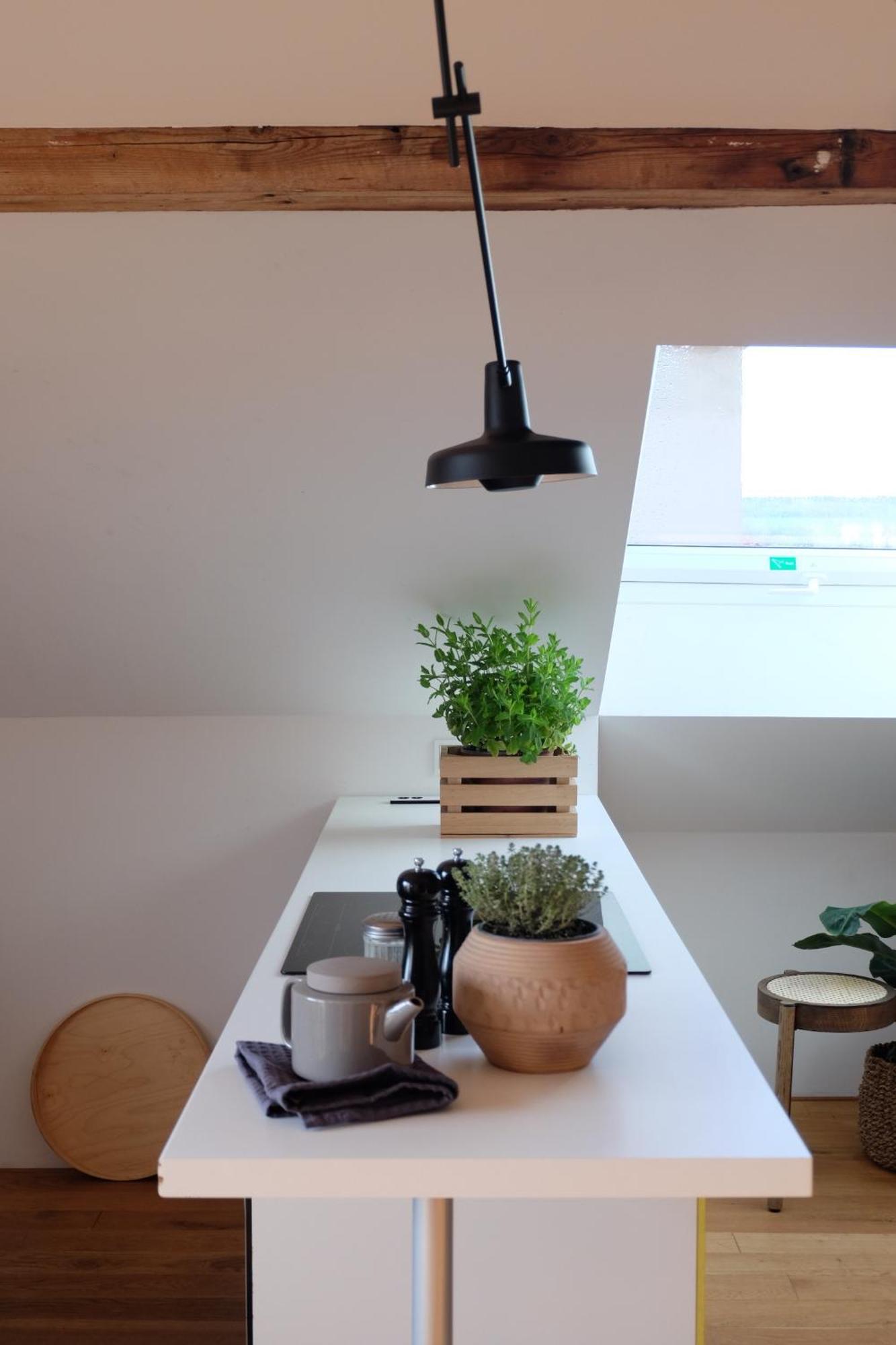 Design Apartments "Hier War Goethe Nie" Weimar  Esterno foto